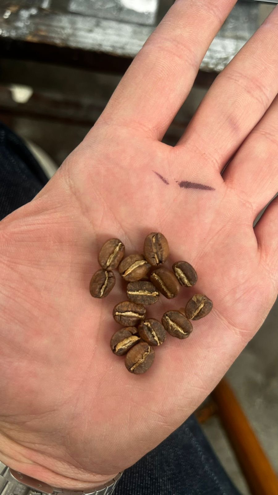 Café Dopsen