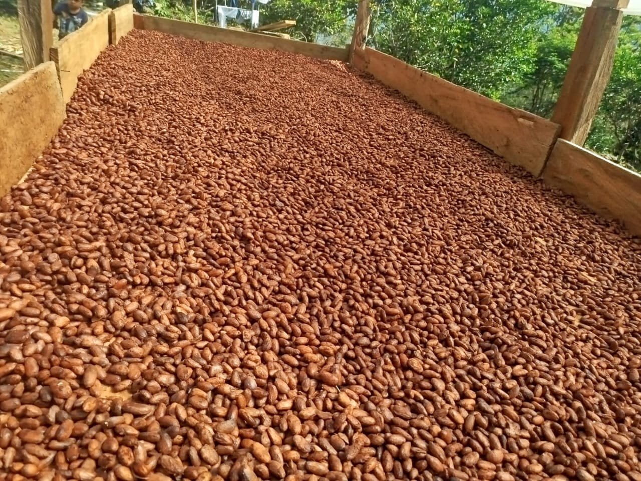 Café Dopsen