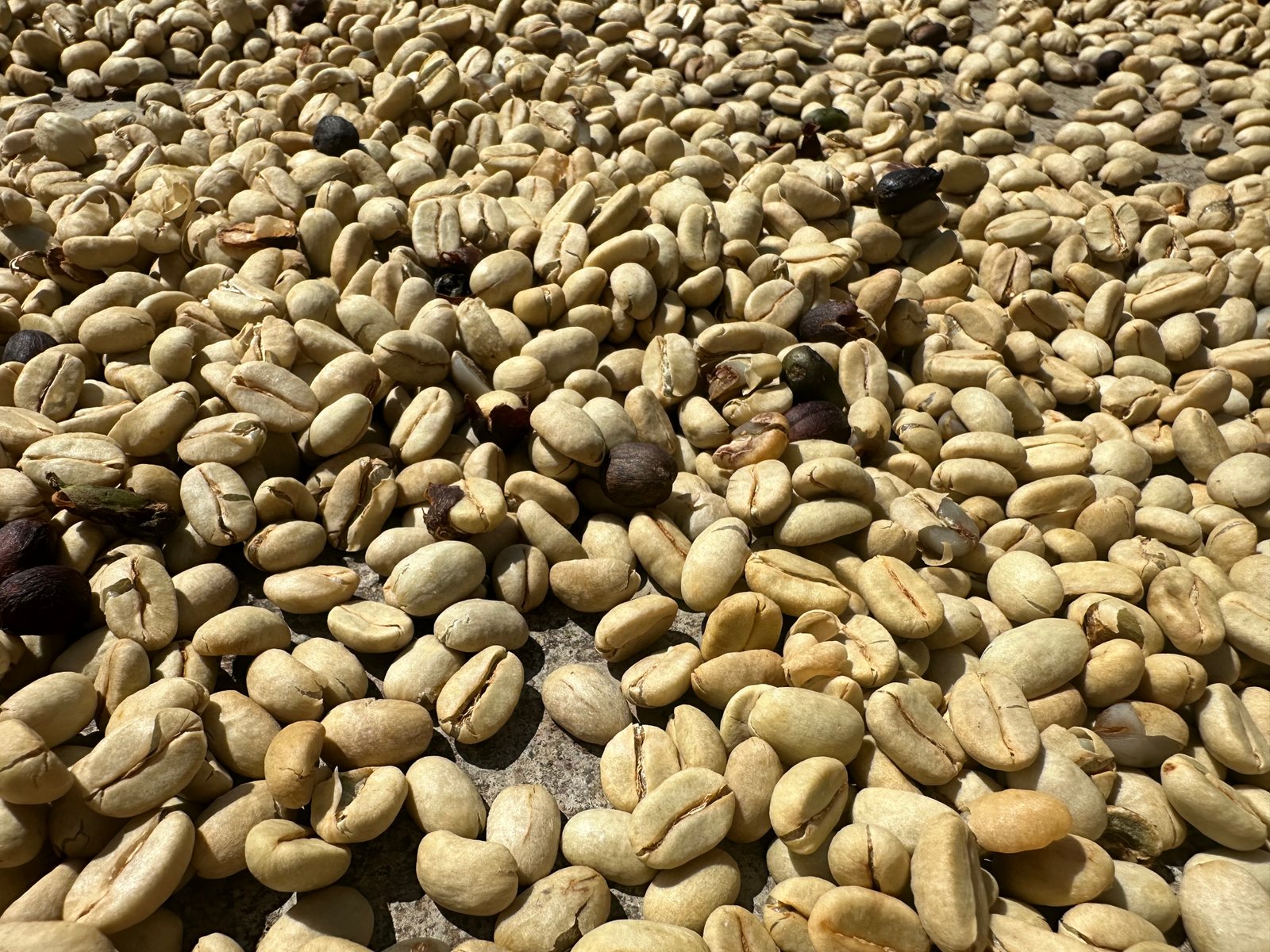 Café Dopsen
