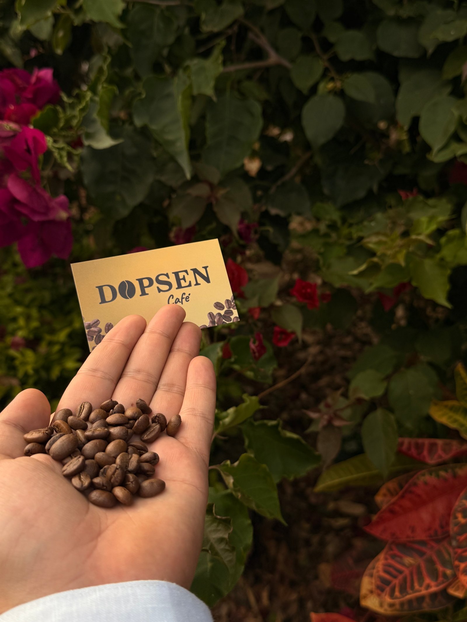Café Dopsen