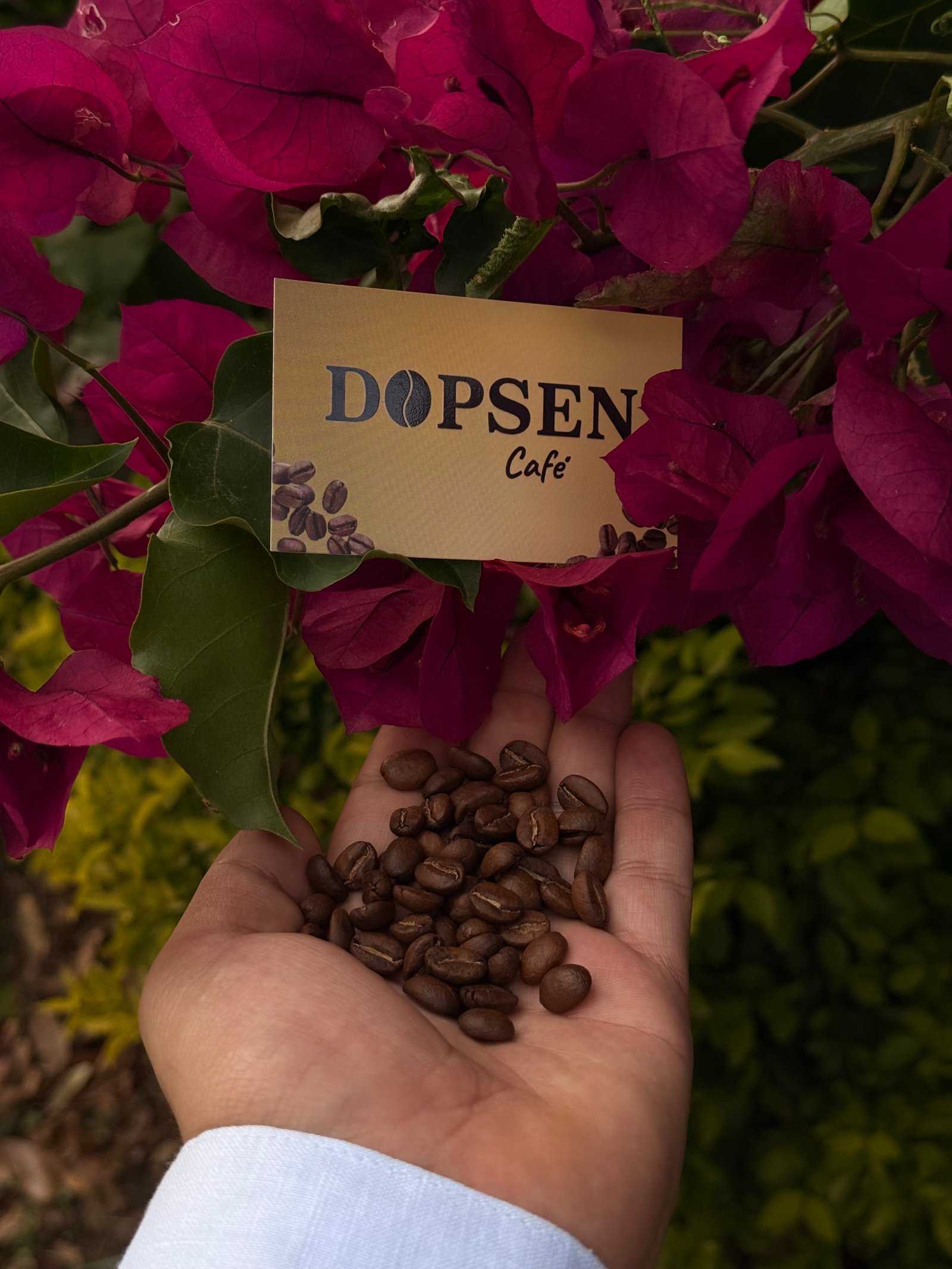 Café Dopsen