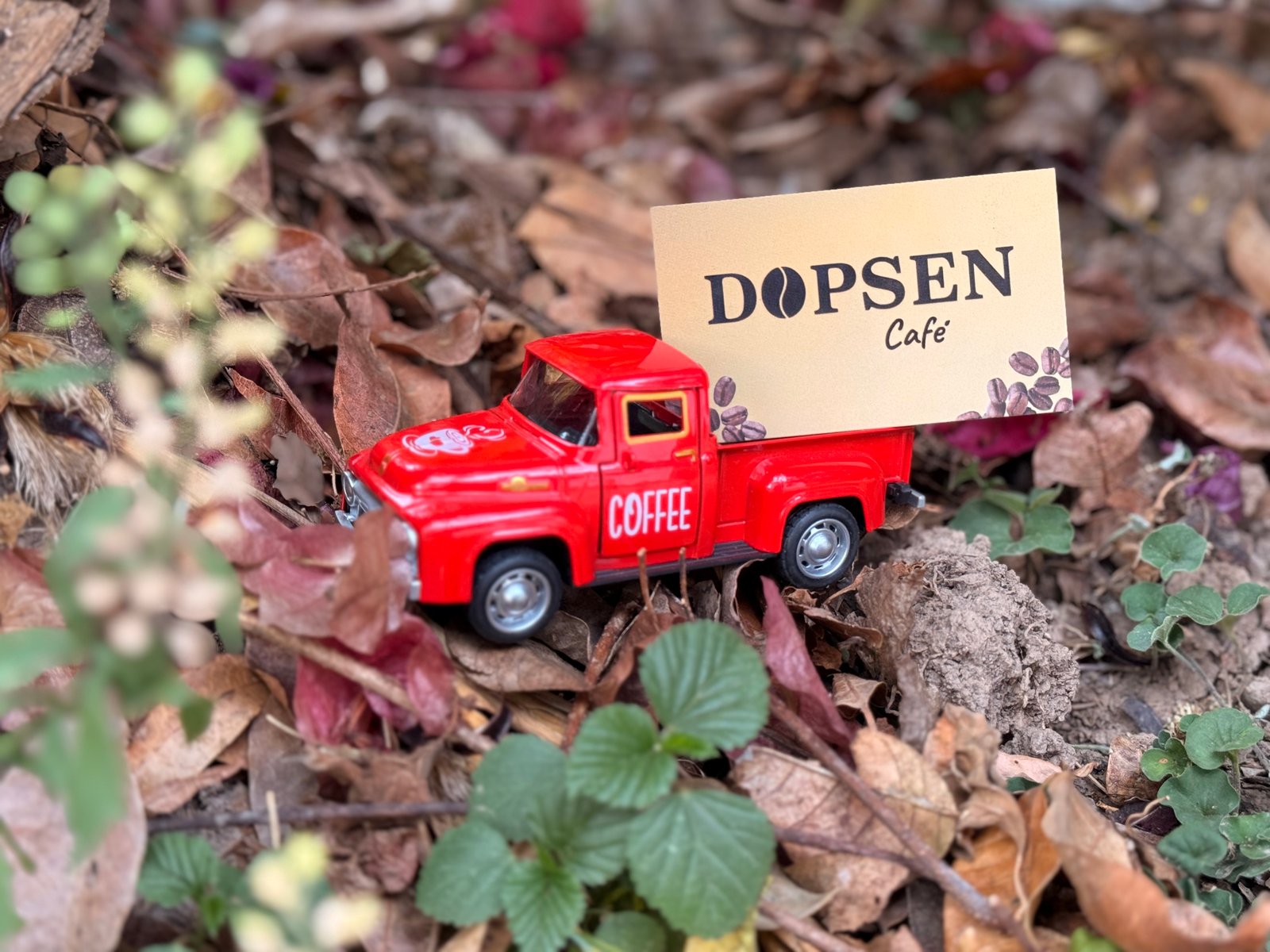 Café Dopsen