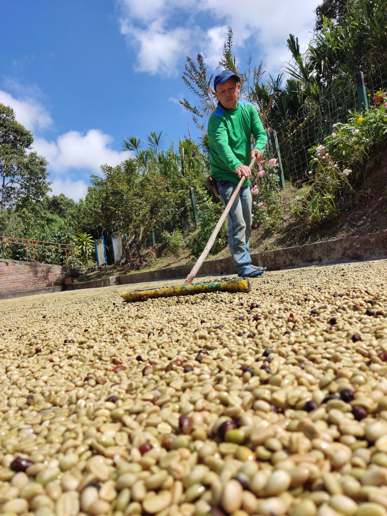 Historia de Dopsen Café